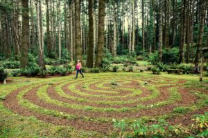 A woman in a pink jacket walking a labyrinth path in the Pacific Northwest with a backdrop of tall trees